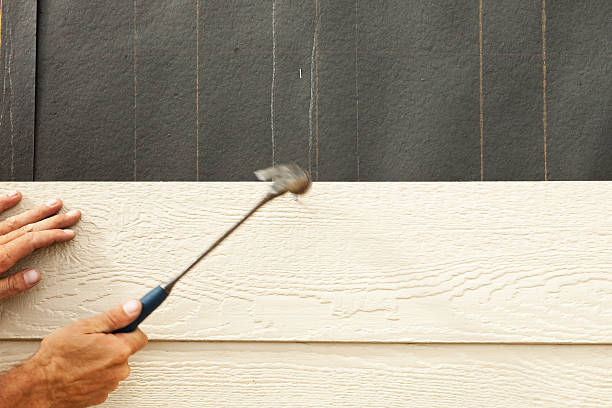 Best Steel Siding Installation  in Jacksonvle, IL